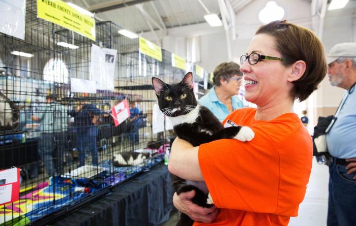 Smiling person wearing a Best Friends volunteer T-shirt holding a black and white cat at an adoption event