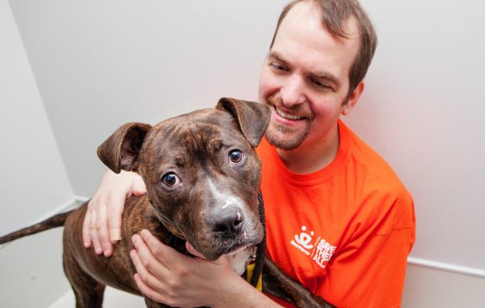 Volunteer wearing orange T-shirt hugging a large brindle puppy