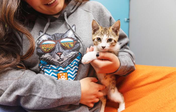 Person wearing a sweatshirt featuring a cat wearing sunglasses holding a tabby and white kitten