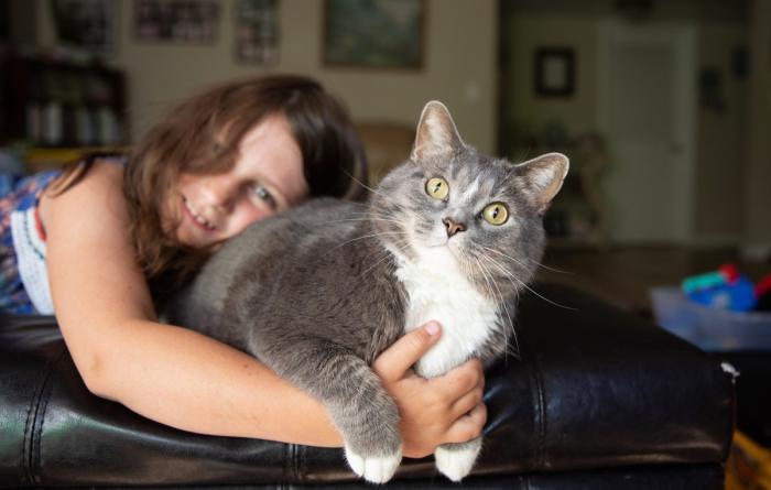 Child hugging a gray and white cat in a home