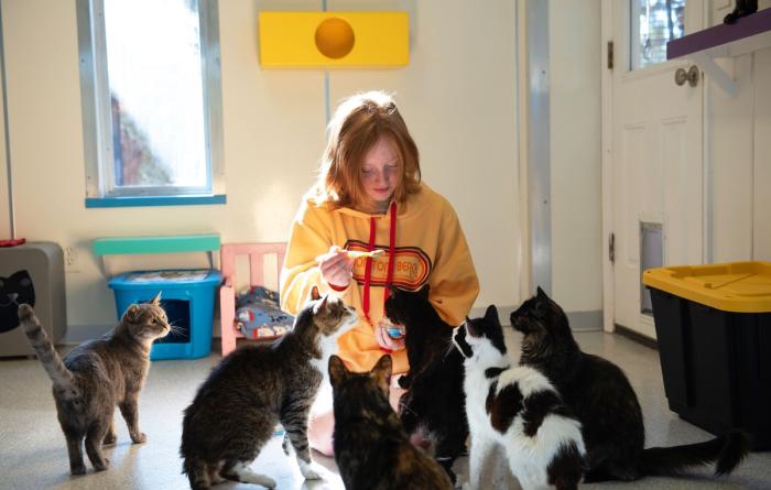Person kneeling on the floor holding a spoon with some food surrounded by cats