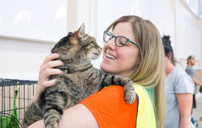 Person wearing Best Friends orange T-shirt holding a brown tabby cat at an adoption event