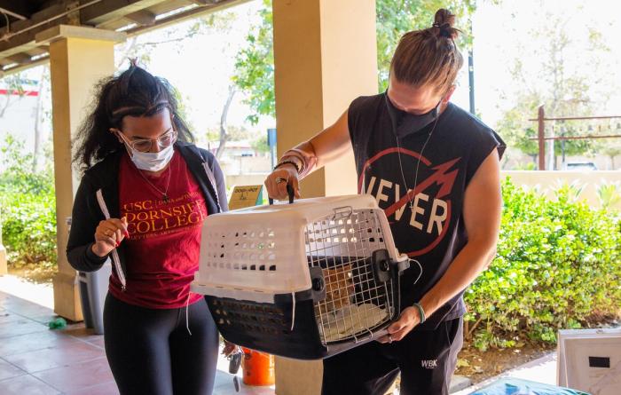 Person holding a pet carrier while walking with another person in Los Angeles