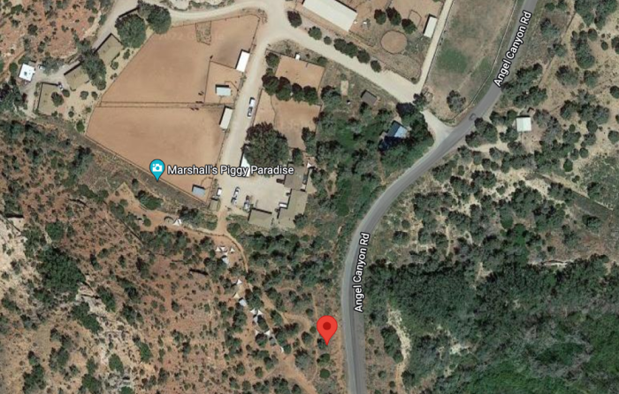 Piggy Paradise pinned on map