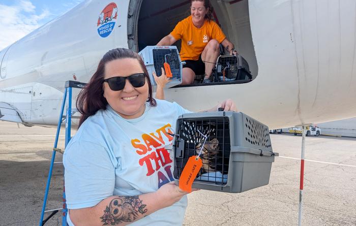 Smiling person wearing a Save Them All T-shirt carrying a kitten in a carrier down from a transport flight with another person in the plane with two more carriers