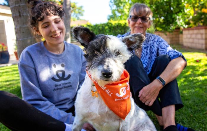 Two smiling people sitting in a yard with a happy dog