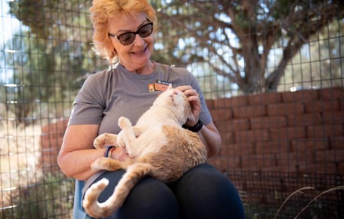 Volunteer sitting and petting a cat in her lap