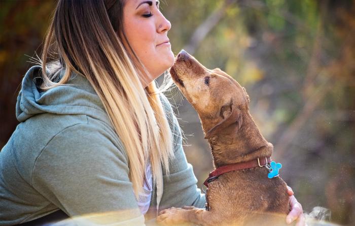 Small Dachshund type dog giving a kiss to a person's chin