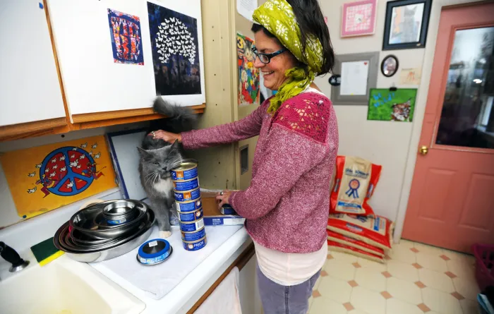 Smiling person feeding a cat in a kitchen