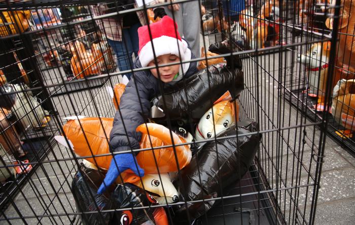 Child wearing a Santa hat looking at balloon dogs in a wire kennel in Times Square