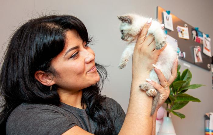 Smiling person holding a Siamese-looking kitten