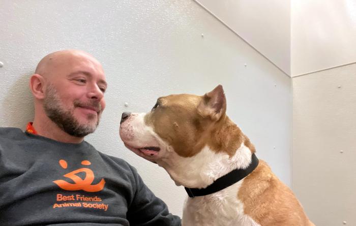 Volunteer David Sprague wearing a Best Friends T-shirt and looking eye-to-eye with a dog with cropped ears