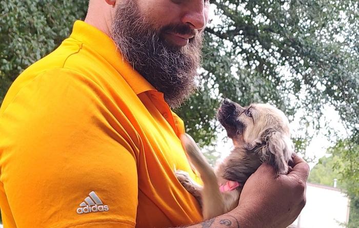 Person outside holding a small dog or puppy