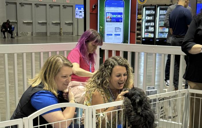 People interacting with puppies in a Walmart store