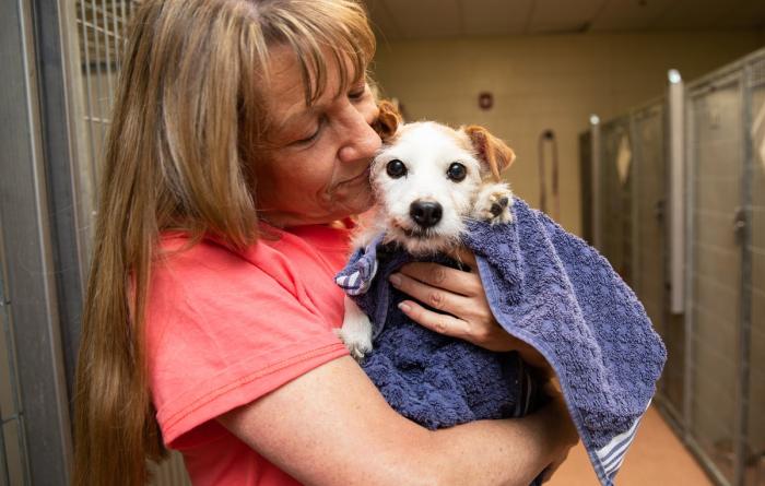 Person holding a small dog in their arms in a shelter