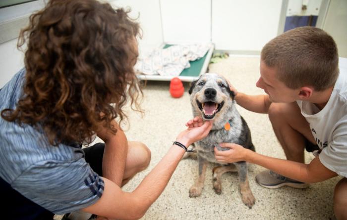 Two volunteers interacting with a happy puppy
