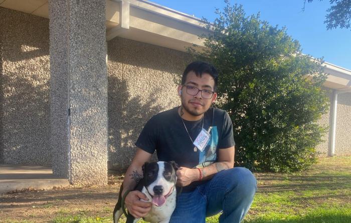 Person kneeling in grass with arm hugging a black and white dog next to him