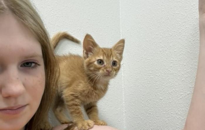 Lily with an orange kitten on her shoulder