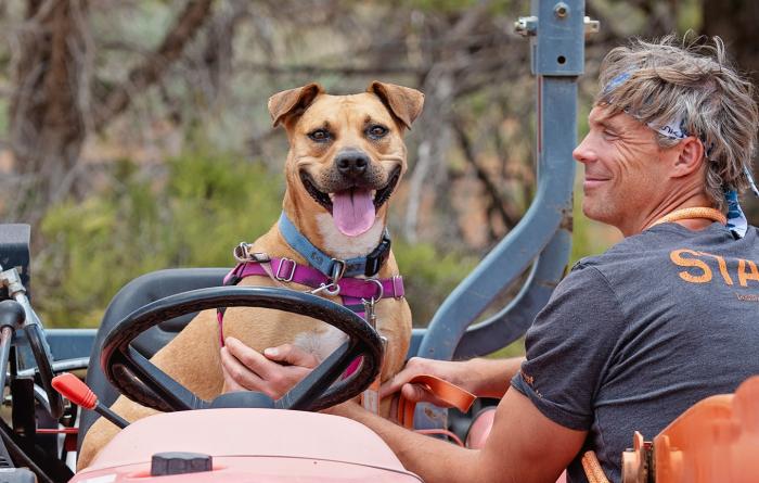 Happy dog behind the wheel of a vehicle with a Best Friends staff person petting his chest