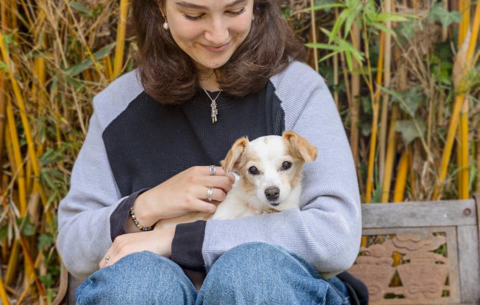 Person petting Alice the dog in her lap
