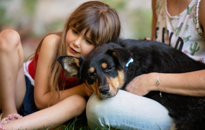 Child hugging a dog lying on another person's lap