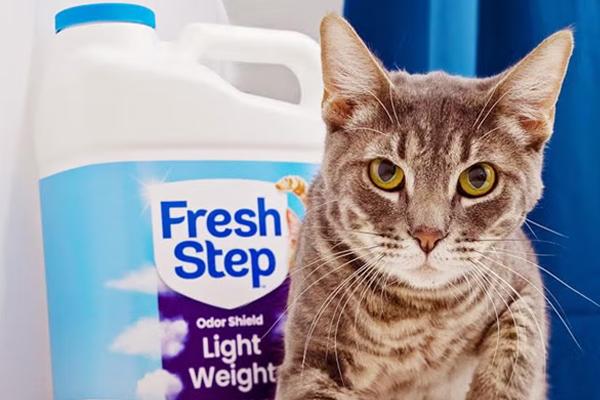Cat standing next to a container of Fresh Step TM litter