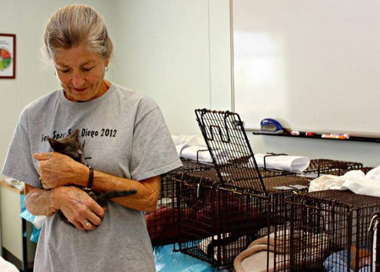 Kitten-community-cat-TNR-Pima-County-Arizona.jpg