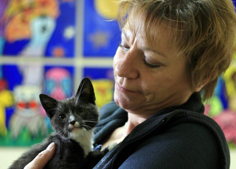 Louisiana-volunteer-Cat-World-kitten.jpg