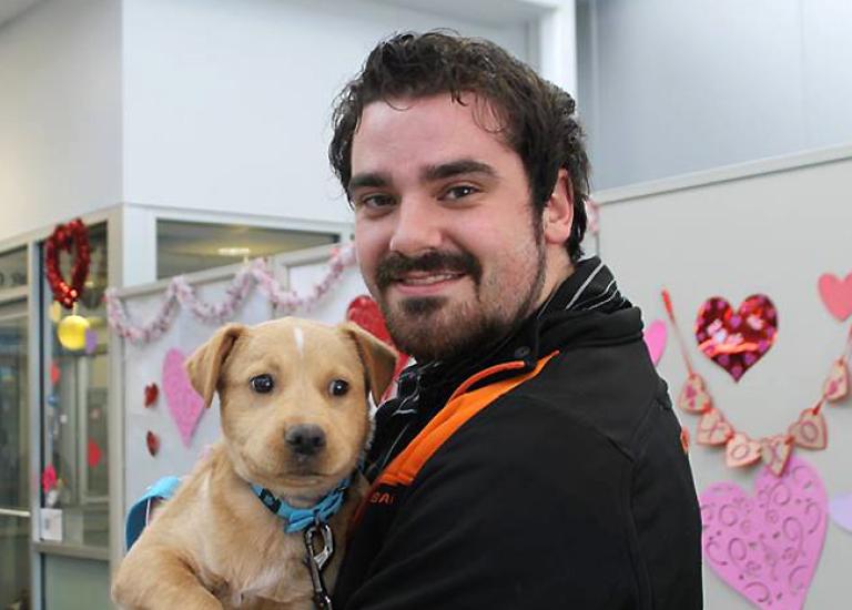 Network-partners-adoption-promotion-Dallas-puppy.jpg