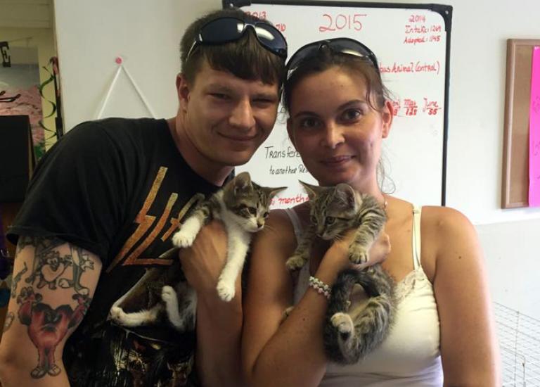 Newbork-Kittens-grant-Georgia-Animal-Ark-Rescue-adoption.jpg