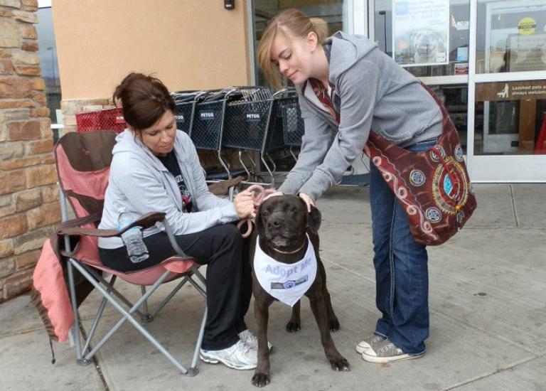 SIKimberlyAdoptionEventJanaNowAdopted.jpg