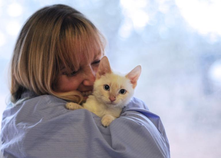 Sinatra-Cassie-kitten-blind-deaf-cat-world-7386.jpg