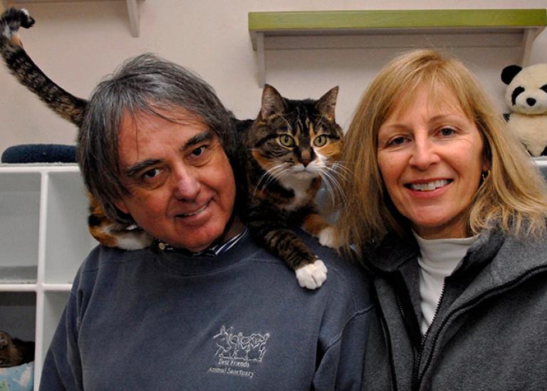 Mark-Karn-Catnippers.jpg