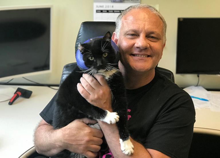 Animal-Rescue-League-of-Berks-County-Tom-and-Marvin-cat.jpg