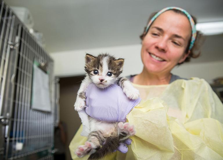 Kitten-season-Dr-Tiny-Cat-Nancy-6322sak.jpg