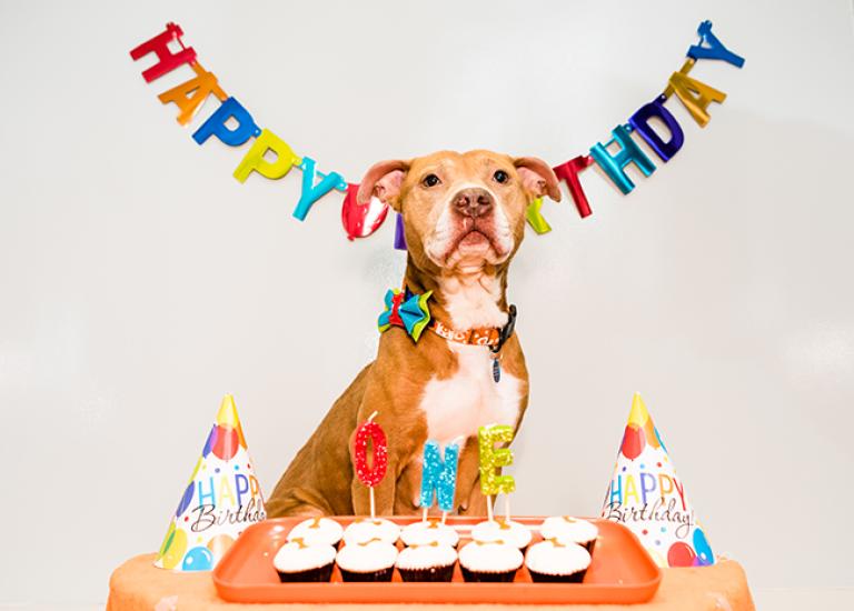 five-year-anniversary-Layla-Birthday-1095SAx.jpg