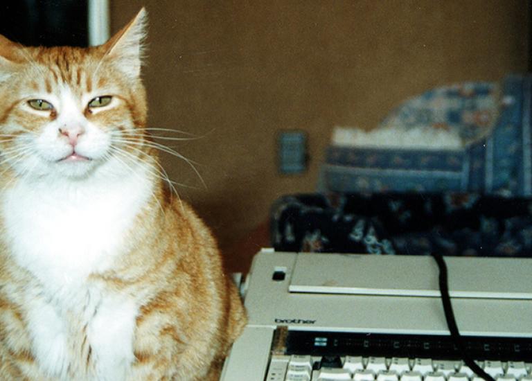 35-things-about-Best-Friends-Tomato-office.jpg