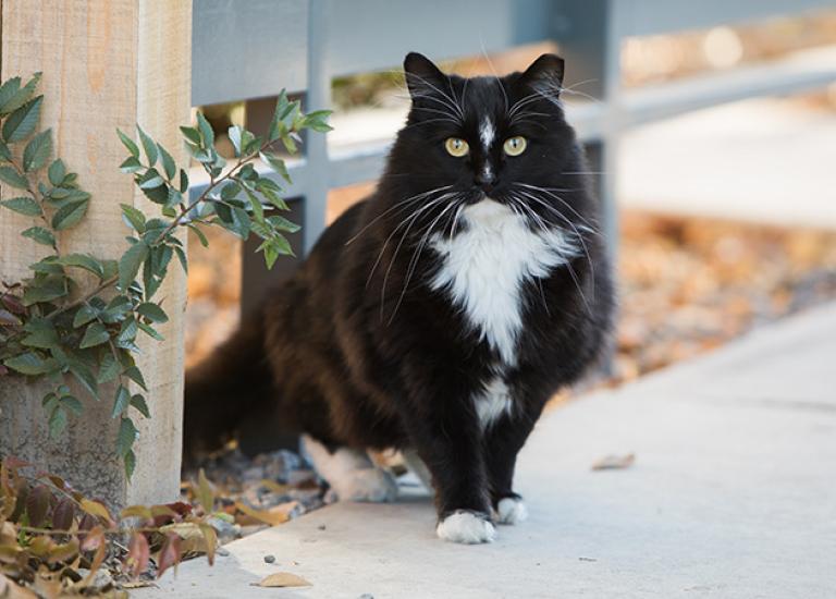 Blog-Erin-Ferals-2227sak.jpg