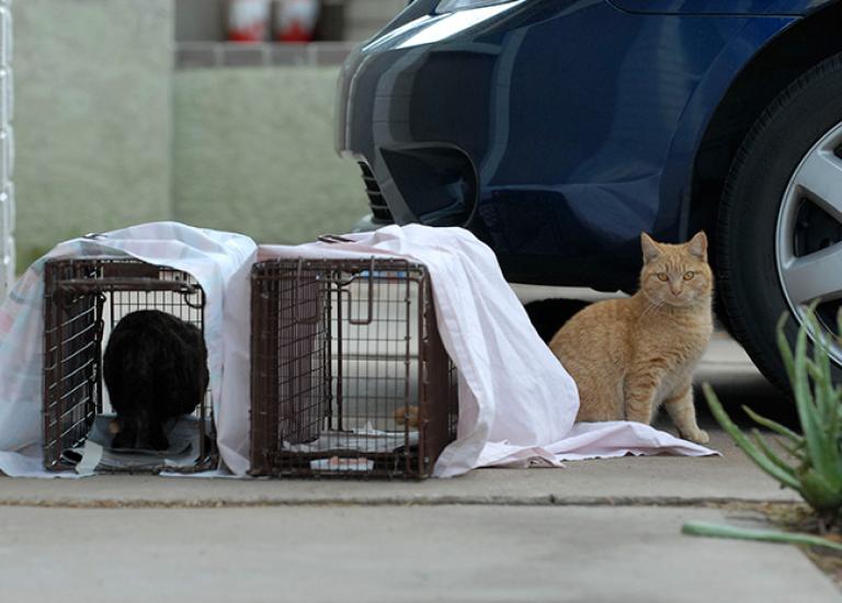 Low-Income-Trapping-2065_blog.jpg