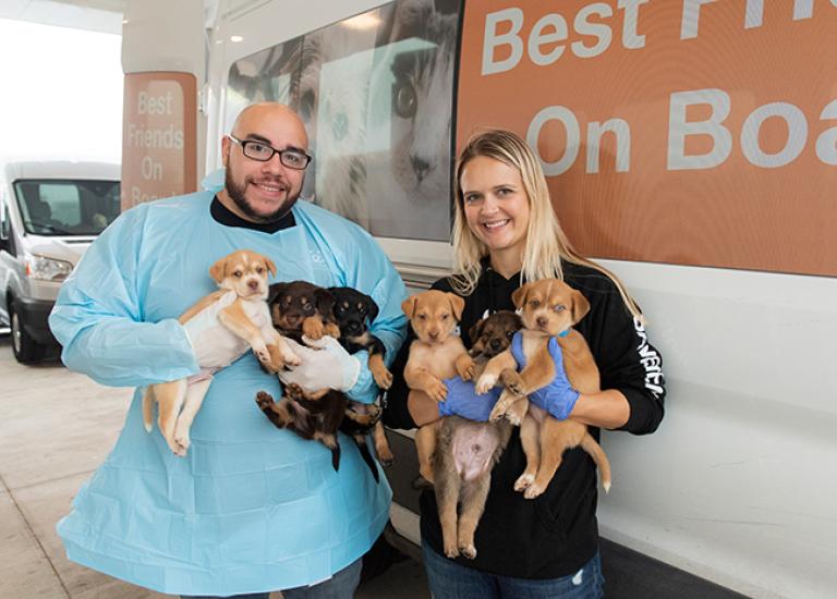 No-kill-progress-Sonya-Sellers---MikeBricker_AJAlbrecht_WillowLitter_EdinburgTransport_SSellers.jpg