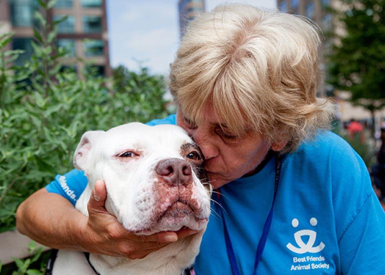 Volunteer-New-York-Kathy_Posekel_Santino_0839_rs.jpg