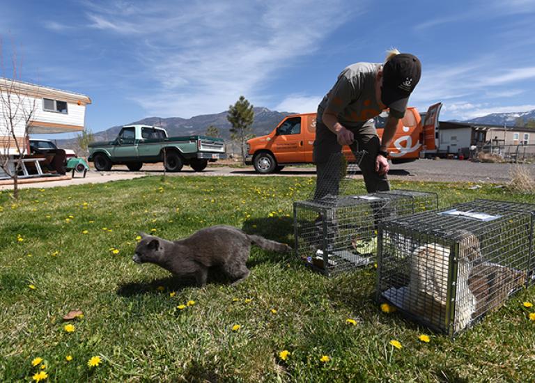 blog-Meg-Releases-Feral-1241MW.jpg