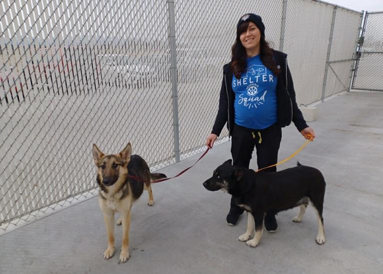 Smiling person standing with two dogs outside