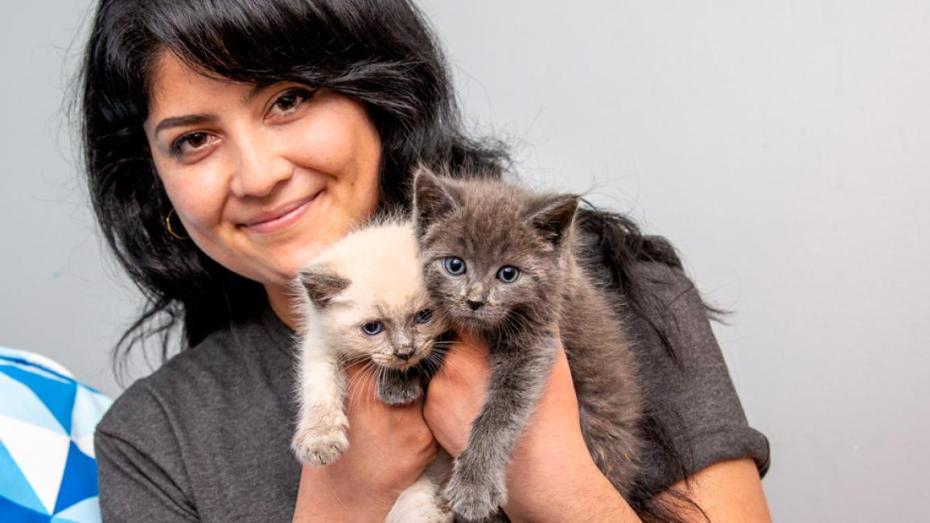Smiling person holding two kittens, one mostly white and one gray