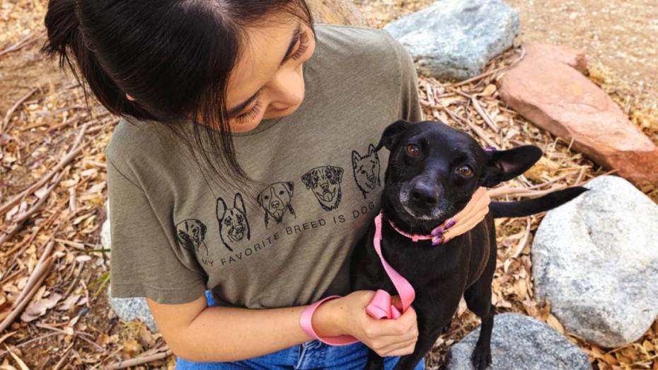 Person looking down at small, leashed black dog