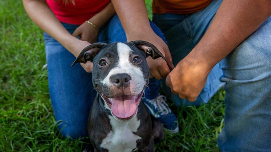 Smiling black and white dot with two people behind him
