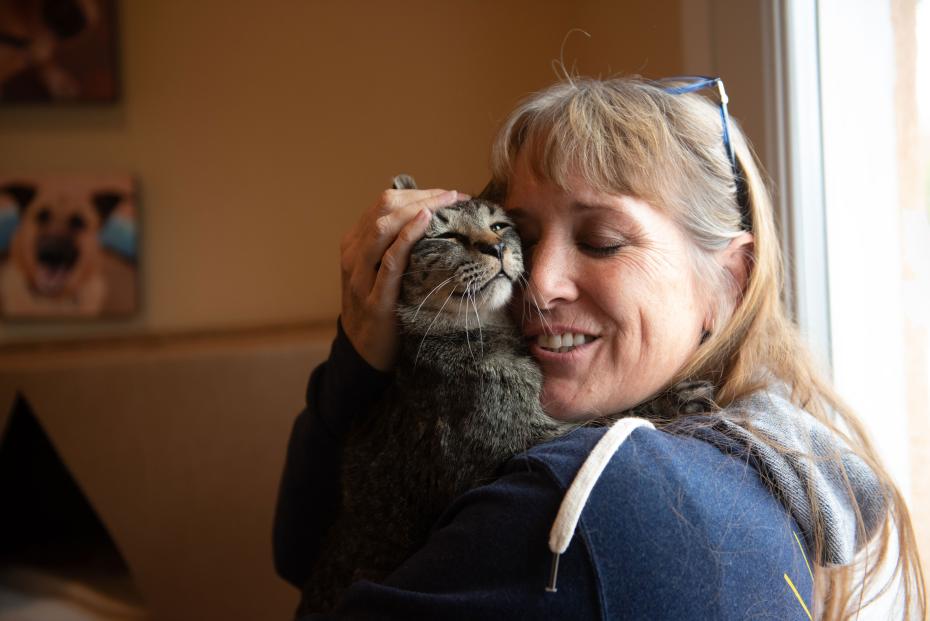 Person hugging a cat