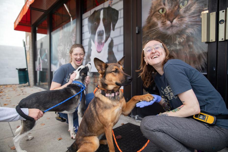 Two people with two dogs, one dog has his paw on the person's hand