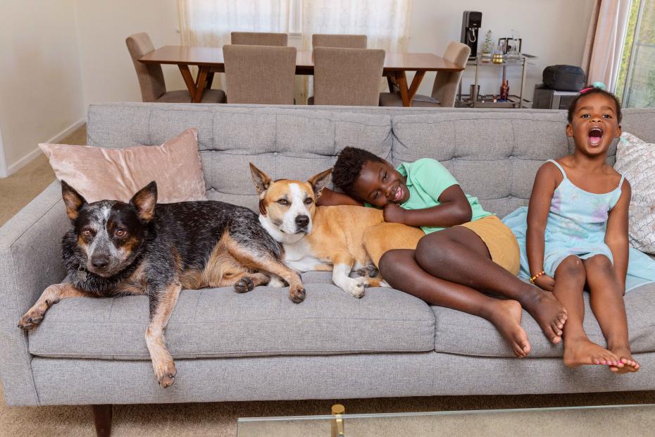 Two children snuggling on a couch with two dogs