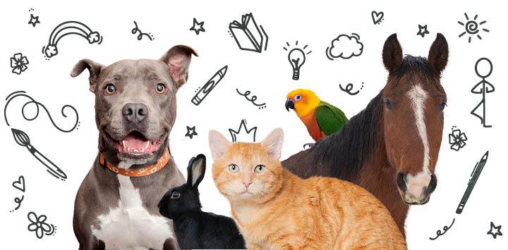 Dog, cat and horse surrounded by little doodle drawings